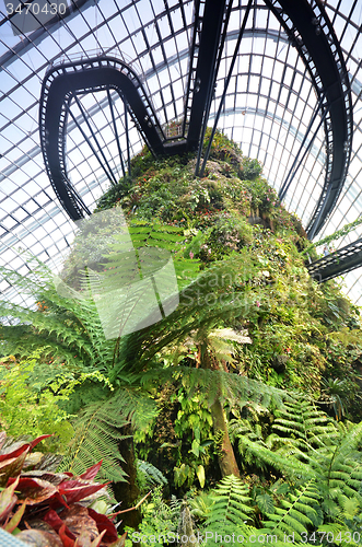 Image of Cloud Forest at Gardens by the Bay