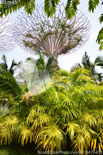 Image of Gardens by the Bay
