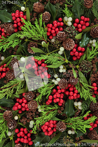 Image of Winter Flora
