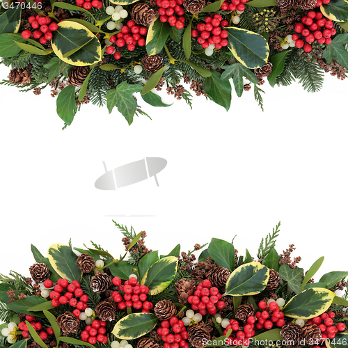 Image of Christmas Holly Border