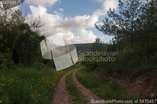 Image of Spring season landscape