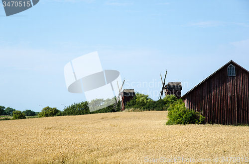 Image of Grain field with windmills