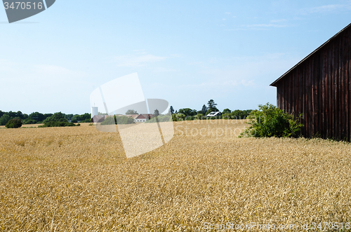 Image of Old rural landscape