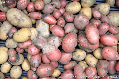 Image of red potatoes background