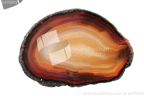 Image of brown agate isolated