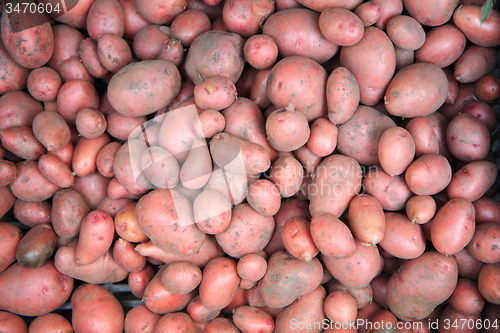 Image of red potatoes background