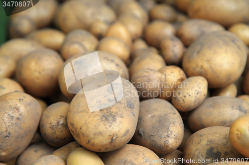 Image of red potatoes background
