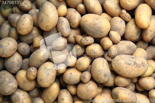 Image of red potatoes background