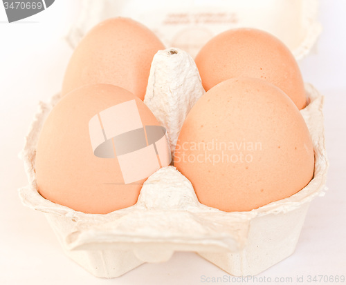 Image of Retro looking Eggs