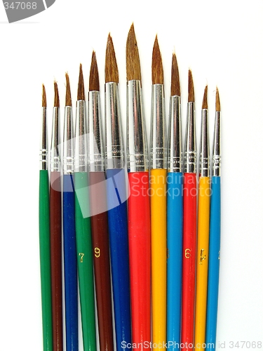 Image of Colored paintbrushes