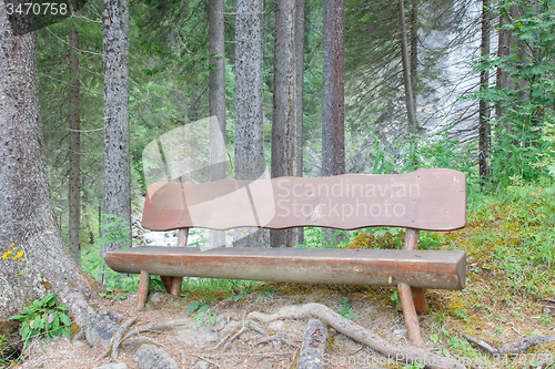 Image of Empty bench in a Swiss forrest