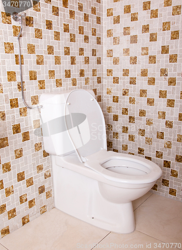 Image of Old clean toilet with old tiles