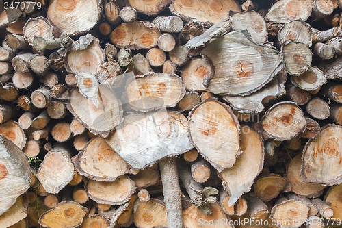 Image of Dry chopped firewood logs 