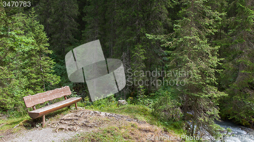 Image of Empty bench in a Swiss forrest