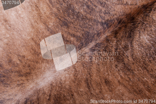 Image of Brown textured cowhide