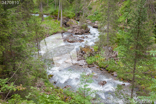 Image of Waterfall in the forest