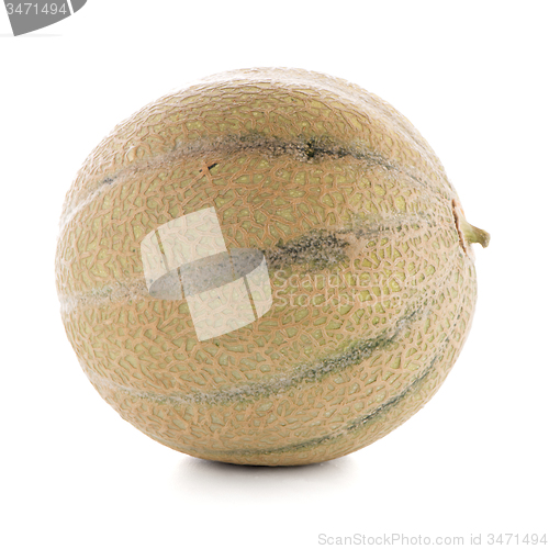 Image of Honeydew melon