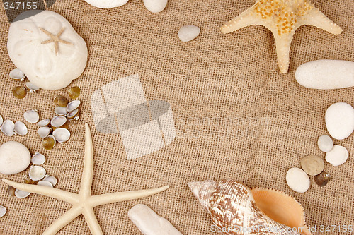 Image of Sea shell and star fish