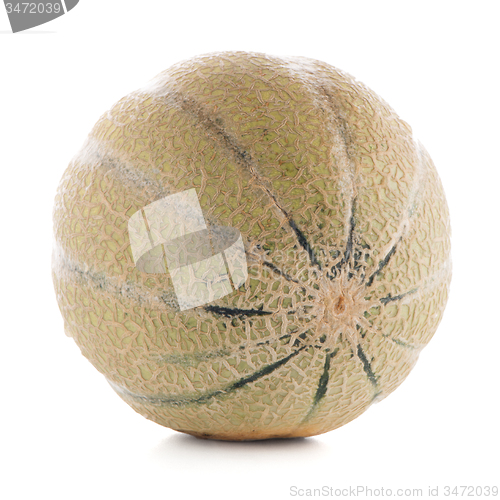 Image of Honeydew melon