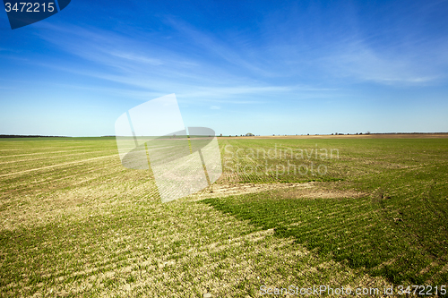 Image of agricultural field  