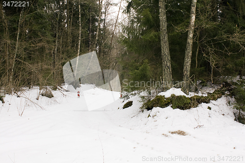 Image of the road in winter