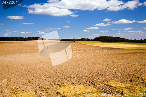 Image of  harvest company
