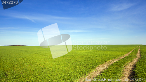 Image of the rural road  