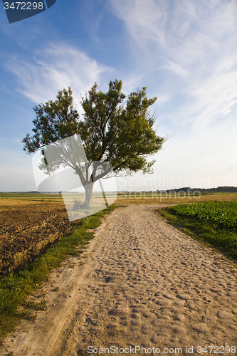 Image of   rural road