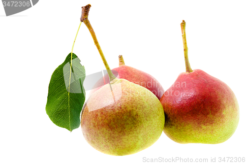 Image of ripe pears 