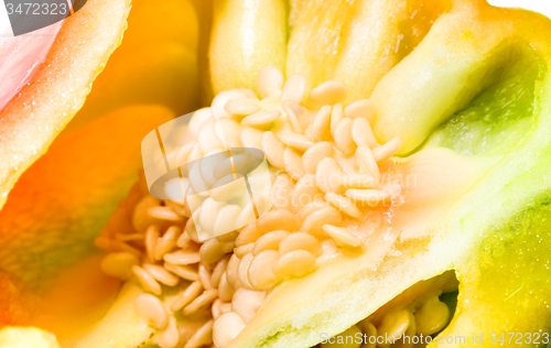 Image of   seeds paprika