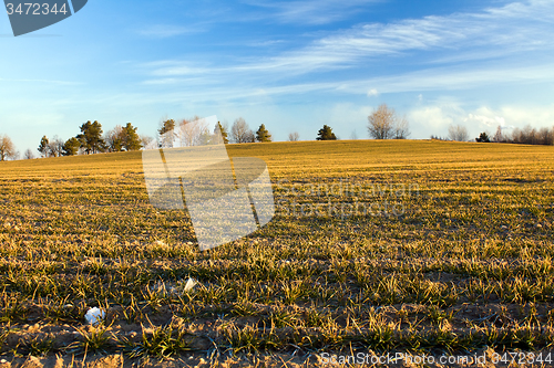Image of agricultural field  