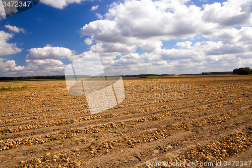 Image of agricultural field 