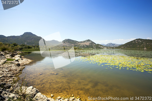 Image of Lake Skadar 