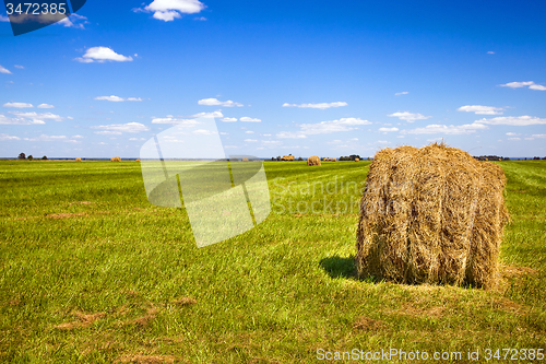 Image of   harvest company