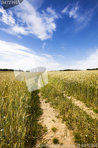 Image of the road to a field  