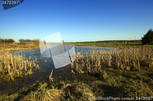 Image of bog. fall  