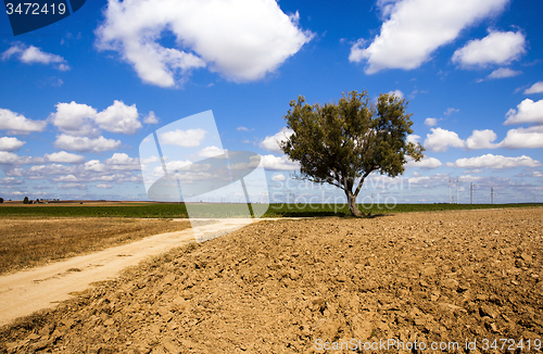 Image of   rural road