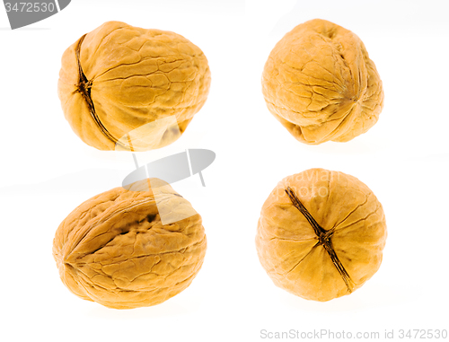 Image of walnuts  