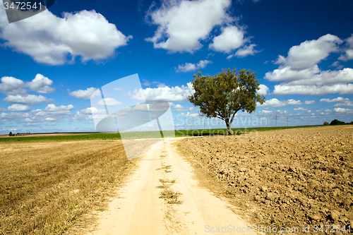 Image of   rural road