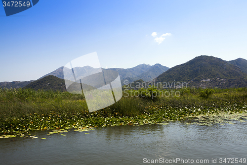 Image of Lake Skadar. Montenegro  