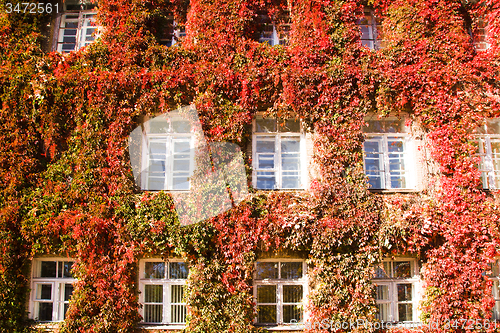 Image of   building 