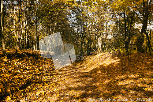 Image of the autumn road  