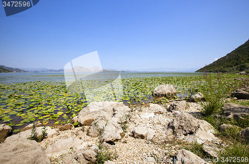 Image of Lake Skadar  