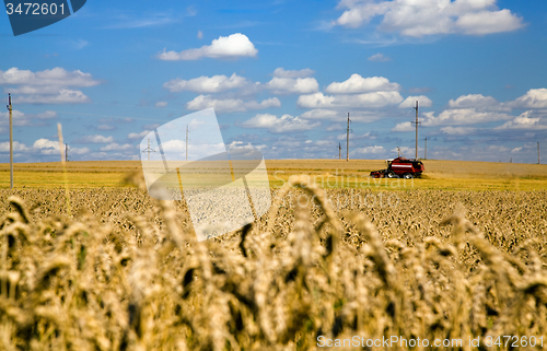 Image of  harvest company