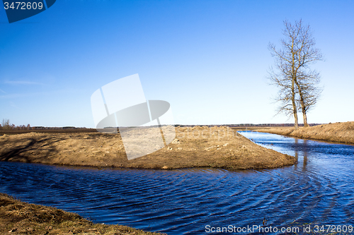 Image of tree and river.  