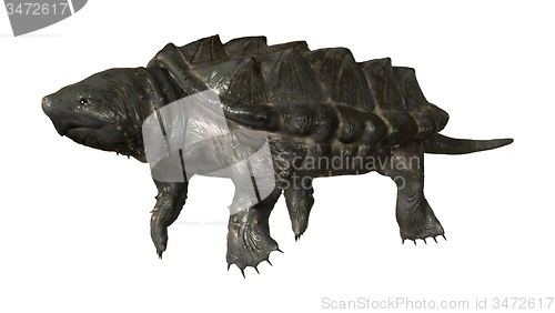 Image of Alligator Snapping Turtle