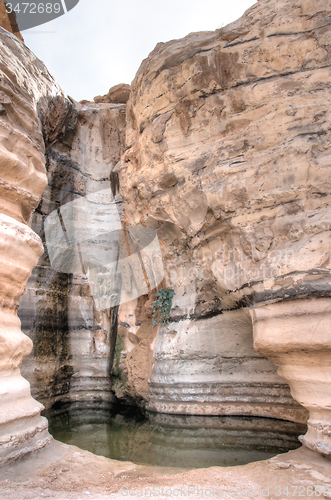 Image of Water spring in a desert