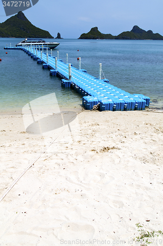 Image of plastic pier  coastline of    green lagoon and tree      bay  