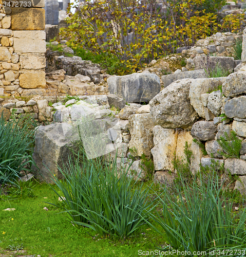 Image of volubilis in morocco africa the old roman deteriorated monument 