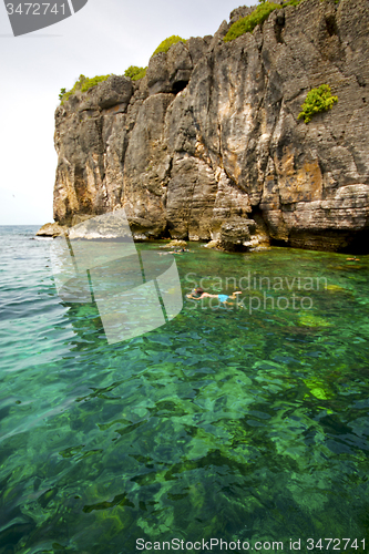 Image of asia in the  kho phangan isles bay     south china green sea  